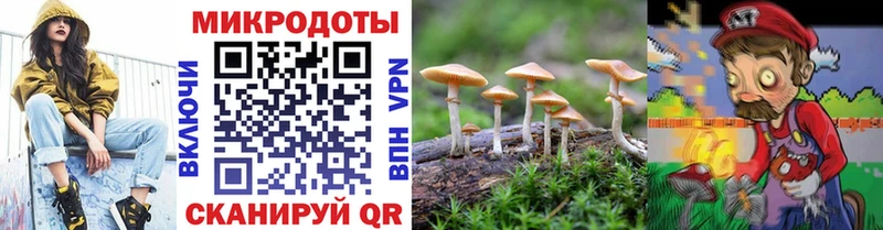 Галлюциногенные грибы Cubensis  Нижний Ломов 